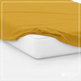 T1-FSGOLD-1